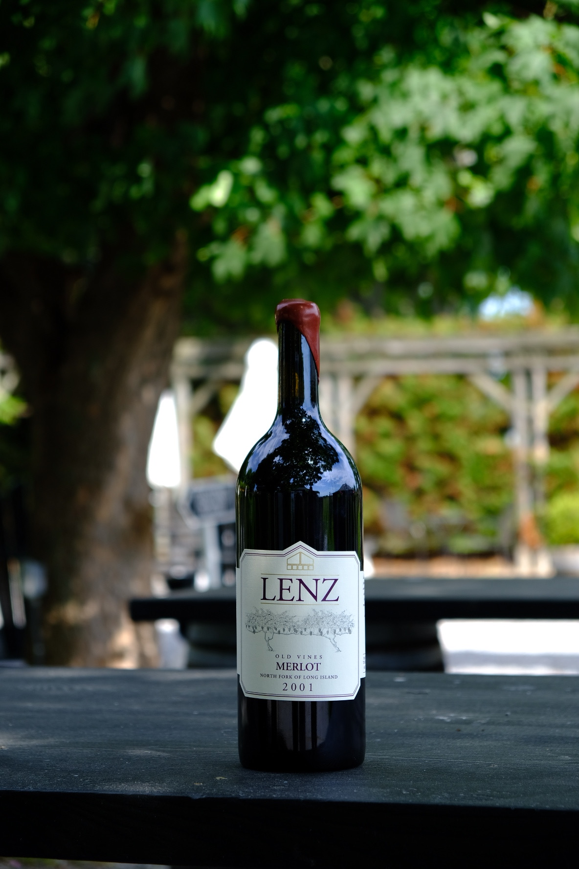 Old Vines Merlot Vertical 